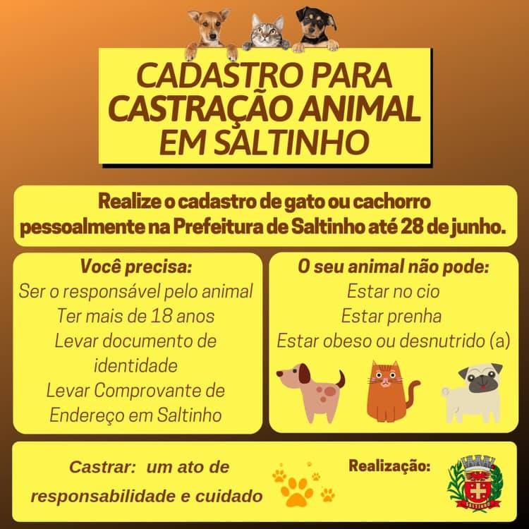 2019612_CASTRAÇÃO